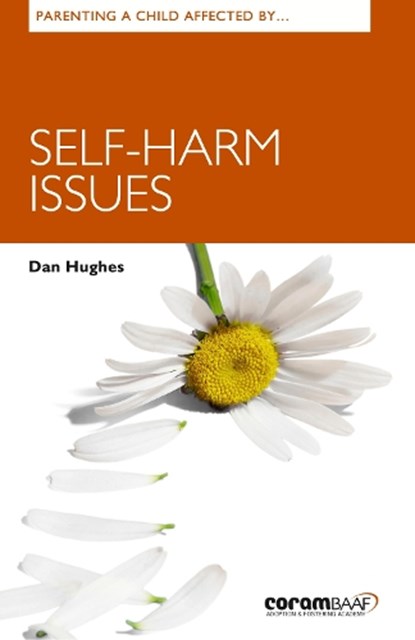 Parenting A Child Affected By Self-harm Issues, Dan Hughes - Paperback - 9781913384166