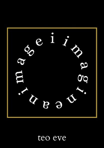 i imagine an image, Teo Eve - Paperback - 9781913421427
