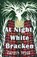At Night White Bracken, Gareth Wood - Paperback - 9781913432980