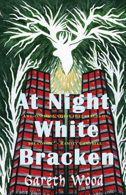 At Night White Bracken, Gareth Wood - Paperback - 9781913432980