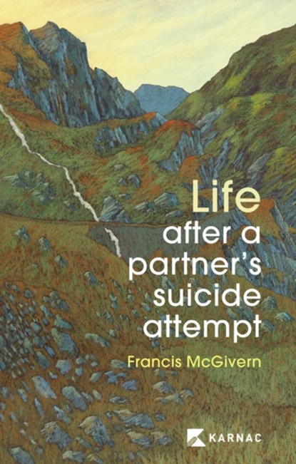 Life After a Partner's Suicide Attempt, Dr Francis McGivern - Paperback - 9781913494346