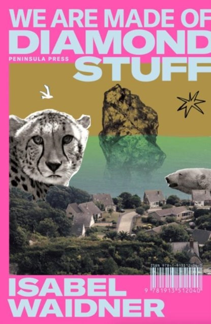 We are Made of Diamond Stuff, Isabel Waidner - Paperback - 9781913512088