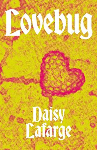 Lovebug, Daisy Lafarge - Paperback - 9781913512378
