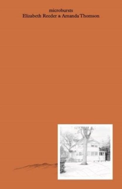 Microbursts, Elizabeth Reeder - Paperback - 9781913513061