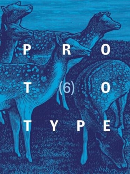 PROTOTYPE 6, Jess Chandler ; Rory Cook - Paperback - 9781913513566