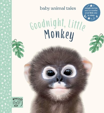 Goodnight, Little Monkey, Amanda Wood - Gebonden - 9781913520120