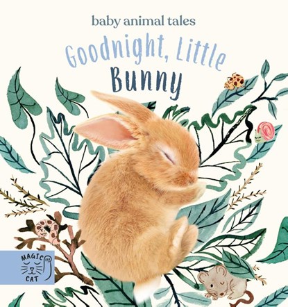 Goodnight, Little Bunny, Amanda Wood - Gebonden Gebonden - 9781913520182