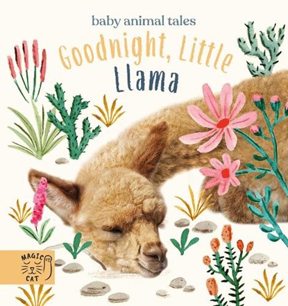 Goodnight, Little Llama, Amanda Wood - Gebonden - 9781913520281