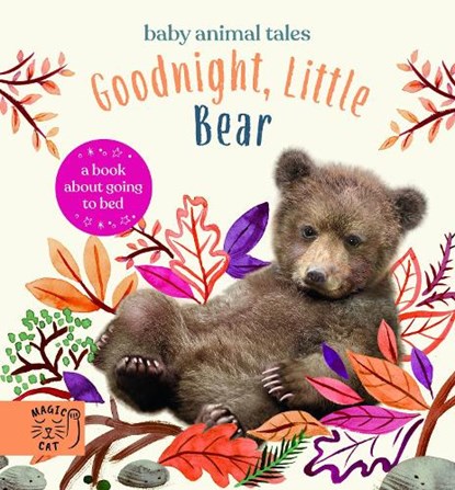 Goodnight, Little Bear, Amanda Wood - Gebonden - 9781913520342