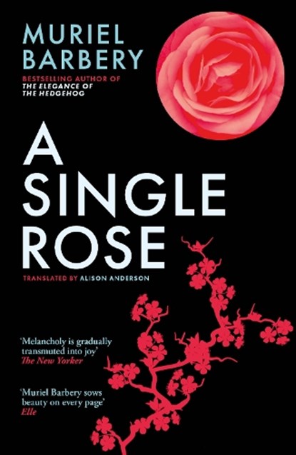 A Single Rose, Muriel Barbery - Paperback - 9781913547417