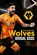 The Official Wolverhampton Wanderers Annual 2021, Paul Berry - Gebonden - 9781913578091