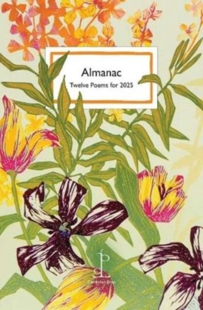 Almanac, Di Slaney - Paperback - 9781913627454