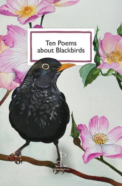 Ten Poems about Blackbirds, Di Slaney - Paperback - 9781913627560