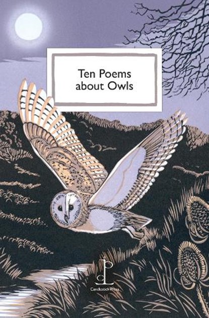 Ten Poems about Owls, Katharine Towers - Paperback - 9781913627577