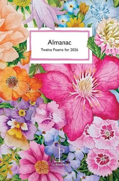 Almanac, Di Slaney - Paperback - 9781913627591