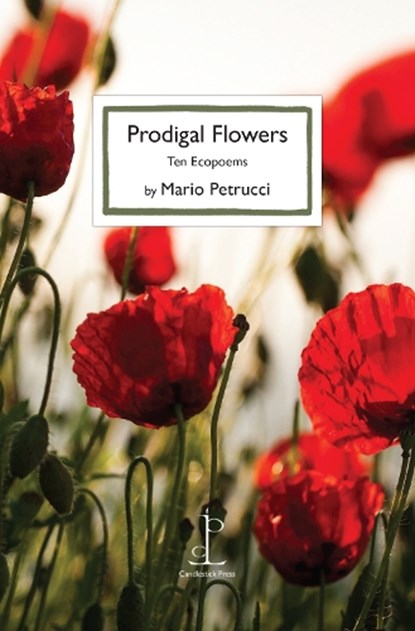 Prodigal Flowers, Mario Petrucci - Paperback - 9781913627799