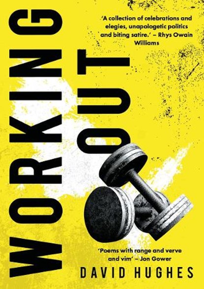 Working Out, David Hughes - Paperback - 9781913640347