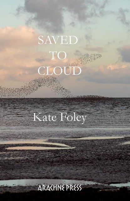 Saved to Cloud, Kate Foley - Paperback - 9781913665760