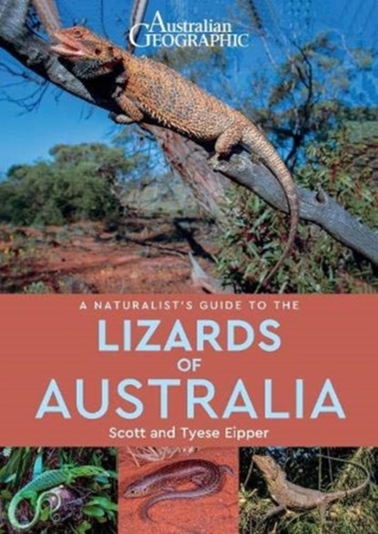 A Naturalist's Guide to the Lizards of Australia, Scott Eipper ; Tyese Eipper - Paperback - 9781913679064