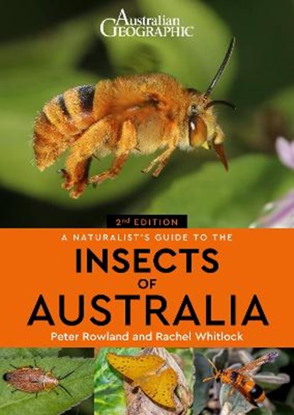 A Naturalist's Guide to the Insects of Australia, Peter Rowland - Paperback - 9781913679262