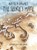 Shadows and Light: The Selkie's Mate, Nicola Davies - Paperback - 9781913733483