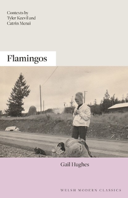 Flamingos, Gail Hughes - Paperback - 9781913830908