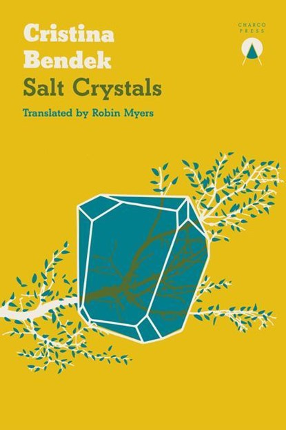 Salt Crystals, Cristina Bendek - Paperback - 9781913867331