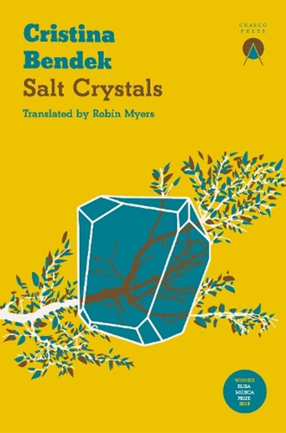 Salt Crystals, Cristina Bendek - Paperback - 9781913867331