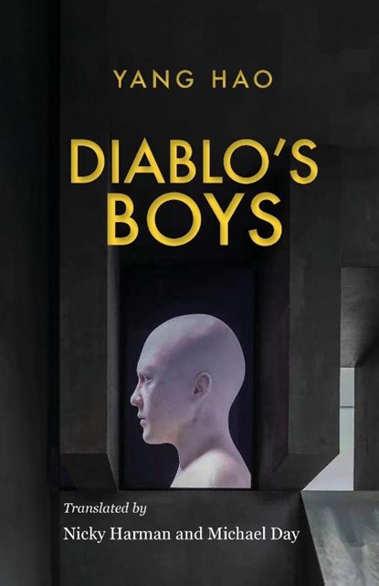 Diablo's Boys, Yang Hao - Paperback - 9781913891527