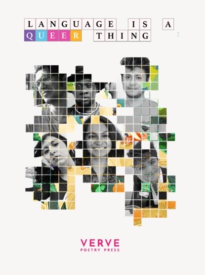 Language Is A Queer Thing, Various Artists - Paperback - 9781913917241