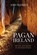 Pagan Ireland, John Waddell - Paperback - 9781913934927
