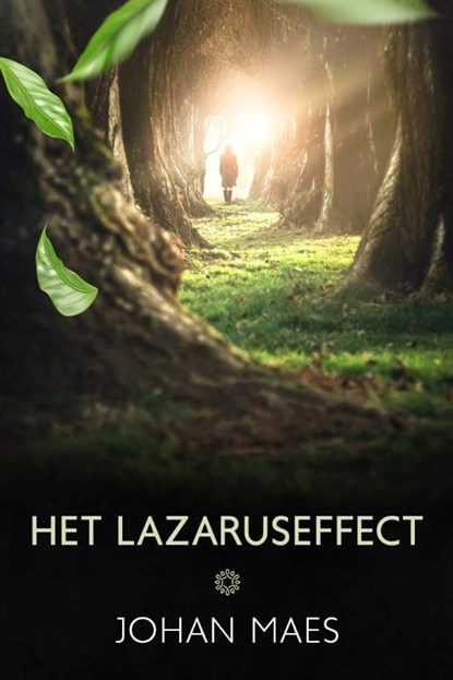 Het Lazaruseffect, Johan Maes - Paperback - 9781913980078