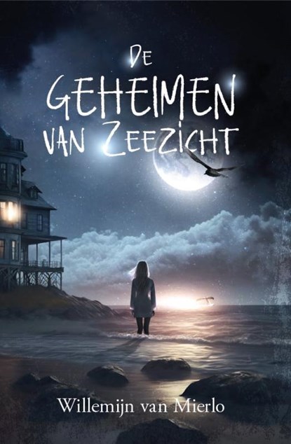 De geheimen van Zeezicht, Willemijn van Mierlo - Paperback - 9781913980580