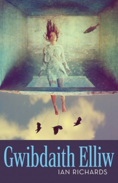 Gwibdaith Elliw, Ian Richards - Paperback - 9781913996727