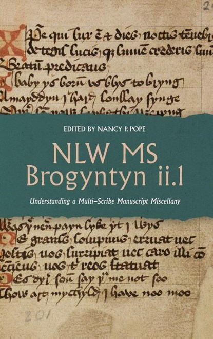 NLW MS Brogyntyn ii.1, Nancy P. (Customer) Pope - Gebonden - 9781914049309