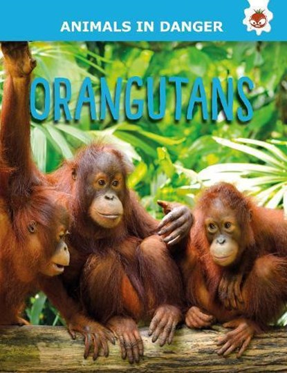 Orangutans, Emily Kington - Paperback - 9781914087806