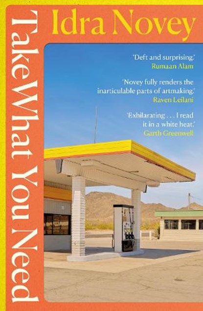 Take What You Need, Idra Novey - Paperback - 9781914198649