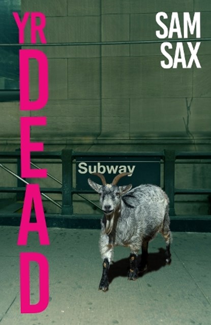 Yr Dead, Sam Sax - Paperback - 9781914198861