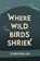 Where Wild Birds Shriek, Christian Lea - Paperback - 9781914199226