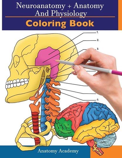 Neuroanatomy + Anatomy and Physiology Coloring Book, Clement Harrison - Paperback - 9781914207051