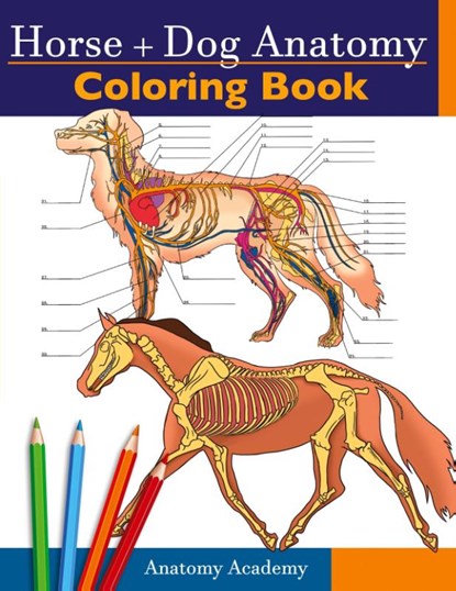 Horse + Dog Anatomy Coloring Book, Anatomy Academy - Paperback - 9781914207082