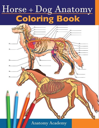 Horse + Dog Anatomy Coloring Book, Anatomy Academy - Paperback - 9781914207082