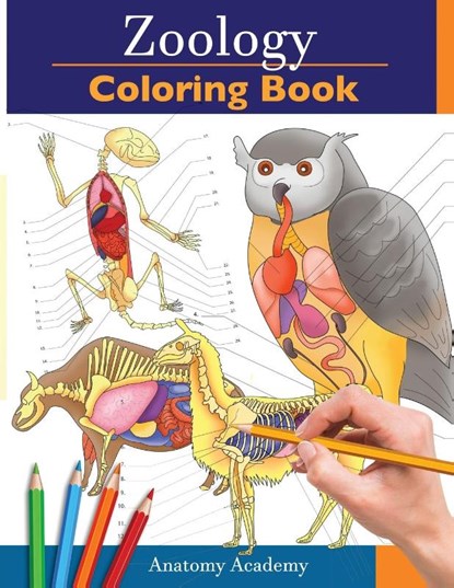Zoology Coloring Book, Anatomy Academy - Paperback - 9781914207099