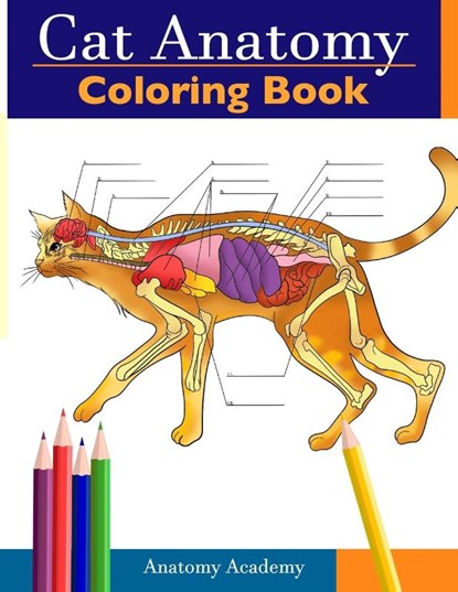 Cat Anatomy Coloring Book, Anatomy Academy - Paperback - 9781914207488
