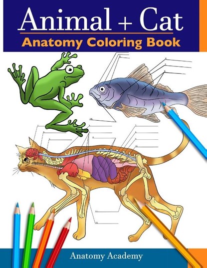 Animal & Cat Anatomy Coloring Book, Anatomy Academy - Paperback - 9781914207518
