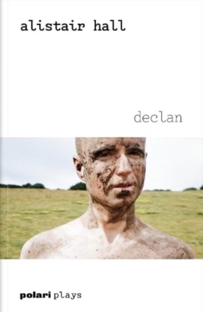 Declan, Alistair Hall - Paperback - 9781914237140