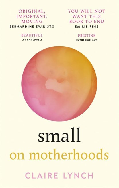Small: On Motherhoods, Claire Lynch - Paperback - 9781914240058