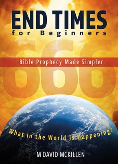 End Times for Beginners, M David McKillen - Paperback - 9781914273087