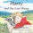 Harry and the Lost Sheep, Ruth Chesney - Paperback - 9781914273926