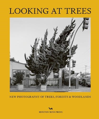 Looking At Trees, Sophie Howarth - Gebonden - 9781914314407